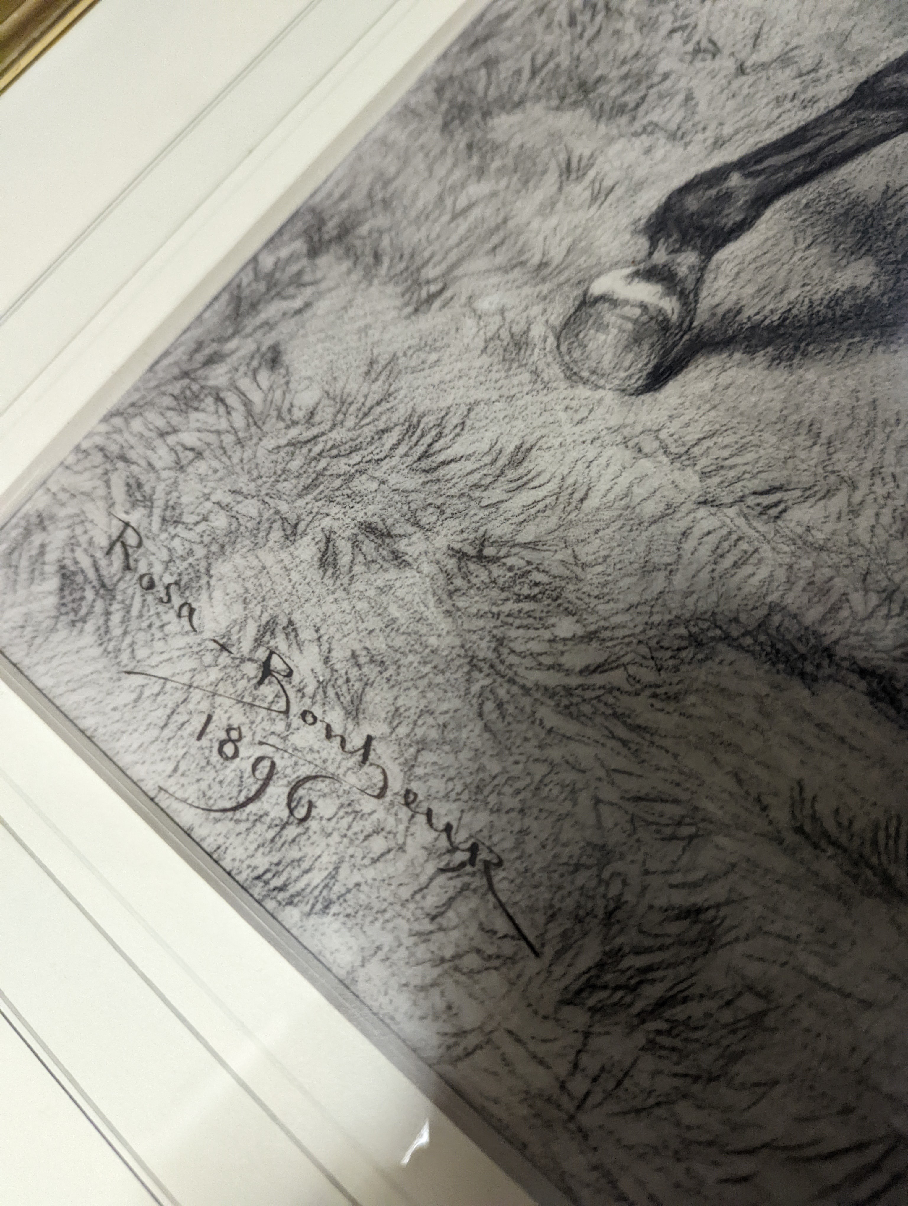 Rosa Bonheur (1822-1899), charcoal and chalk, Stallion and mare, signed and dated 1896, 52 x 84cm